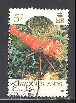 Cayman Islands Sc # 562b used  (DT)