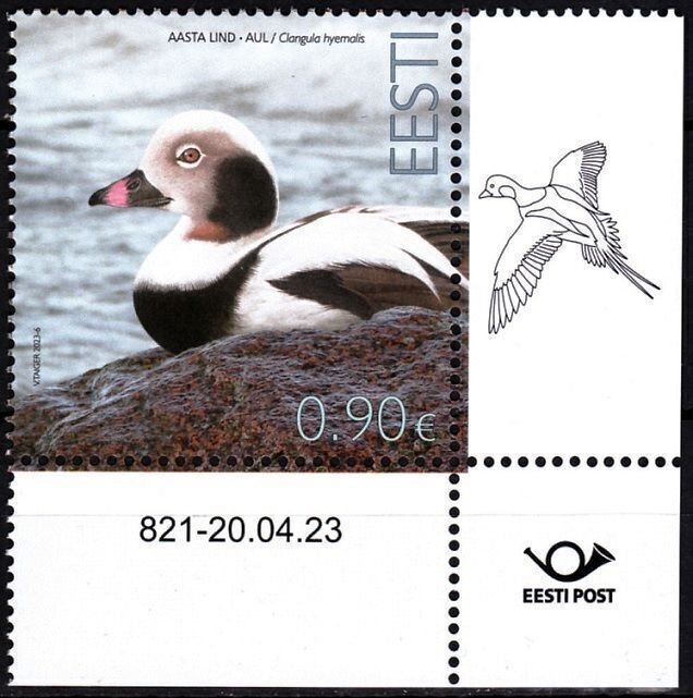 ESTONIA 2023-06 FAUNA Animals: Bird of the Year, Duck. Data CORNER, MNH