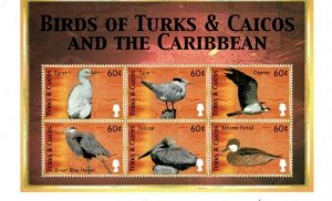 TURKS AND CAICOS 2006 - Birds Of the Caribbean - Sheet of 6 Stamps - MNH