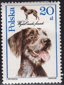 Poland 2902 Dogs Czech Fousek Pointer 1989