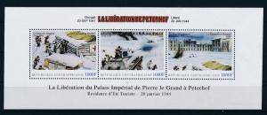 [81190] Central African Rep. 2011 Second World war Siege of Leningrad Sheet MNH