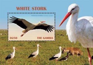 Gambia 2019 - White Stork - Souvenir Stamp Sheet - MNH