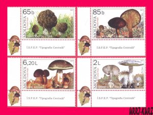 MOLDOVA 2007 Nature Flora Plants Mushrooms Fungi 4v Sc552-555 Mi578-581 MNH