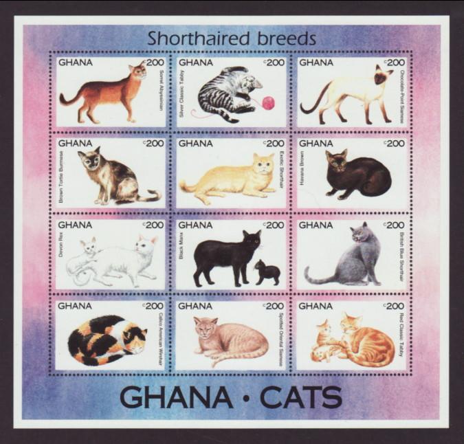 Ghana 1684 Cats Souvenir Sheet MNH VF