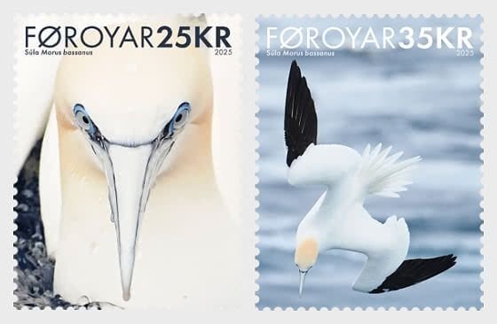 Faroes / Faeroër - Postfris/MNH - Complete set Birds 2025