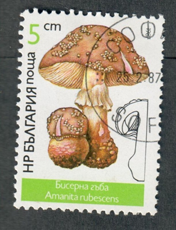 Bulgaria #3232 used single