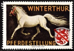 1940 Switzerland Soldiers Stamp Town Of Winterthur Horse Positions