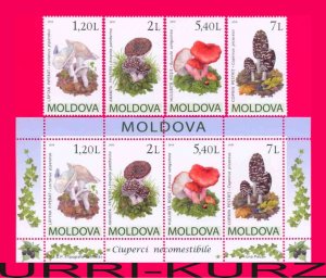 MOLDOVA 2010 Nature Flora Mushrooms Fungi 4v+s-s 665-668 MNH