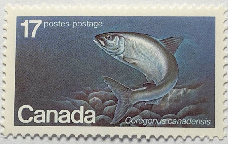 CANADA 1980 #853 Endangered Wildlife - MNH