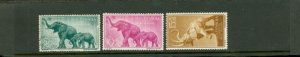 Guinea Espanola Elephants , 3 stamps