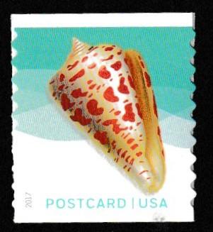 SC# 5167 - (34c) - Seashells: Alphabet Cone Coil - MNH single