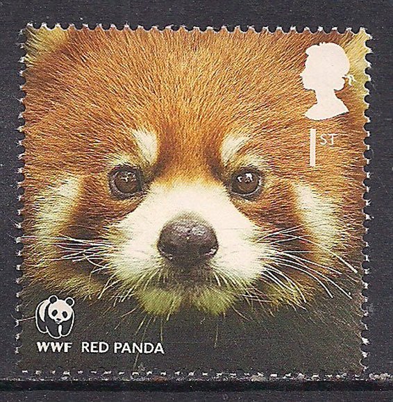 GB 2011 QE2 1st 50th Anniversary WWF Red Panda SG 3168 Umm ( A1024 )