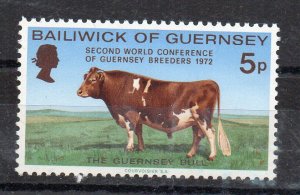 GUERNSEY - 1972 - BULL - COW -