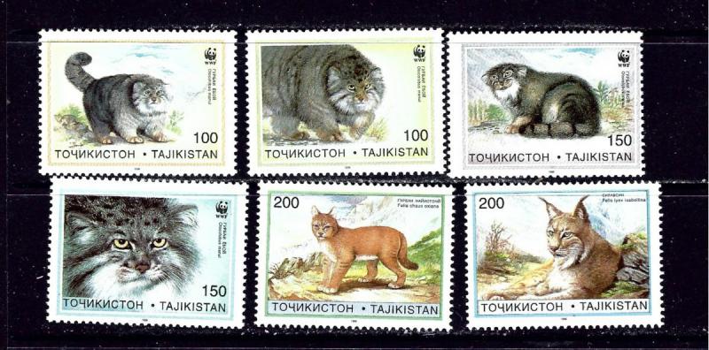 Tajikistan 92-97 MNH 1996 Cats