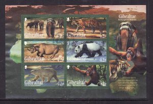 Gibraltar-Sc#1289a-used sheet-Endangered Animals-2011-