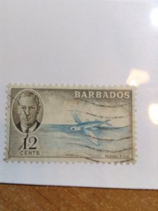 Barbados  # 222  Used