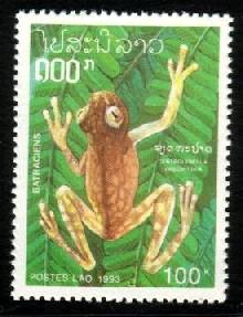Frog, Centrolendella Vireovittata, Laos stamp SC#1115 MNH
