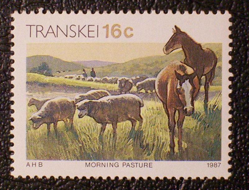 South Africa - Transkei Scott #143 mnh