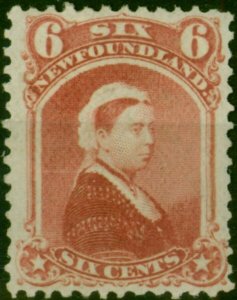 Newfoundland 1870 6c Rose SG39 Good MM (2)