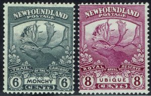 NEWFOUNDLAND 1919 CARIBOU 6C AND 8C