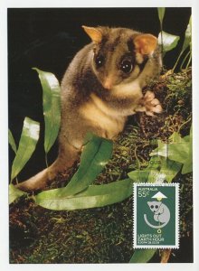 Maximum card Australia 2009 Leadbeater s Possum - Lights Out - Earth Hour