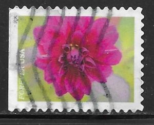 USA 5562: Dahlia, off paper, used, VF