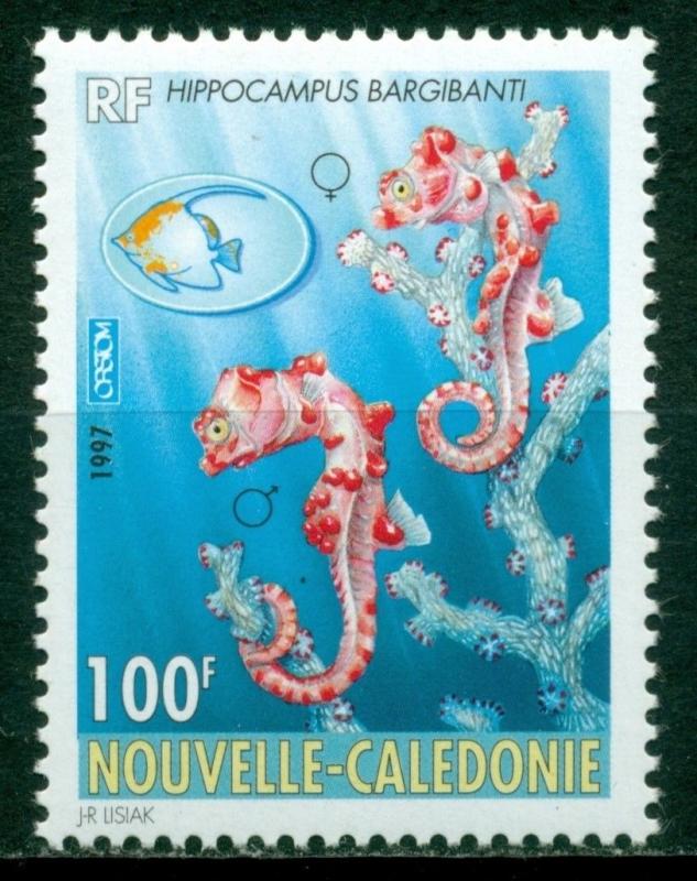 New Caledonia Scott #768 MNH Sea Horse Fauna CV$4+