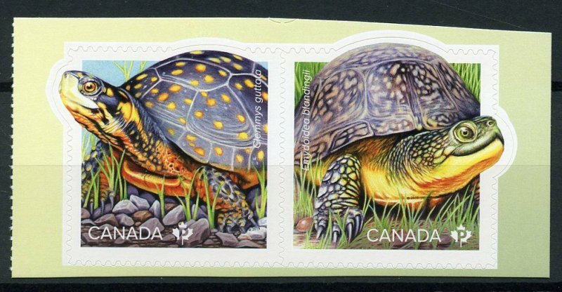 Canada 2019 MNH Endanged Turtles Spotted Turtle 2v S/A Set Reptiles Stamps 