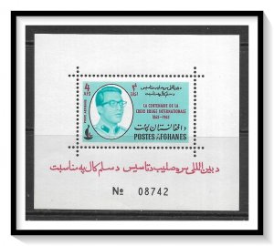 Afghanistan #662D (v) Red Cross Souvenir Sheet MNH