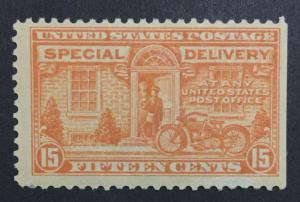 MOMEN: US #E13 MINT OG NH #24449