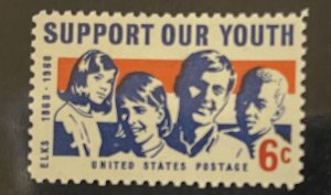 US 1968 Support Our Youth 6c single MNH  OG 1342