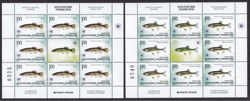 Bosnia Serbia 2010 Europa Nature Protection Fish Fishes Animals Fauna sheet MNH