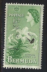 Bermuda 145 VFU FLOWERS M1116-7