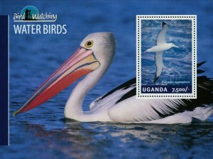 Water Birds Stamp Diomedea Epomophora Souvenir Sheet MNH #3239 / Bl.454