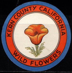 Vintage US 2 3/4 Circle Poster Stamp Kern County California Wild Flowers MNH