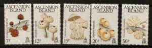 ASCENSION SG332/6 1983 FUNGI MNH