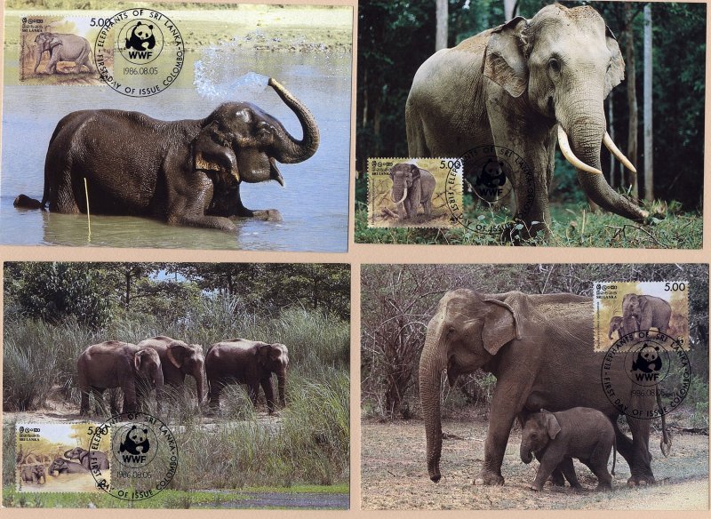 Sri Lanka 1986 Scott 803 maxi cards WWF Elephants