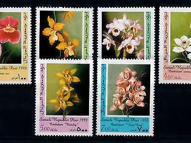 [79832] Somalia 1998 Flora Flowers Blumen Orchids  MNH