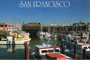 POSTCARD California - San Francisco - Fisherman's Wharf - Unaddressed