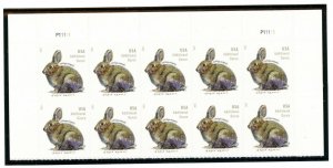 US  5544  Brush Rabbit 20c - Top Plate Block of 10 - MNH - 2021 - P11111