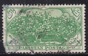 Pakistan 71 Cotton Plantation 1954