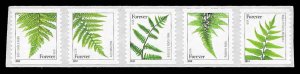 PCBstamps  US #4973/4977b Coil Strip $2.45(5x49c)Ferns, MNH, (7)