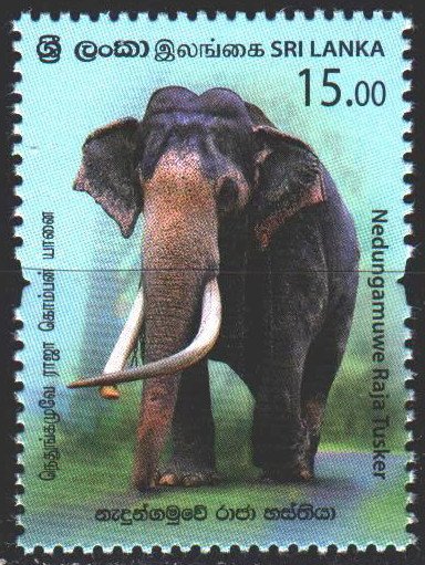 Sri Lanka. 2019. Elephant fauna. MNH.