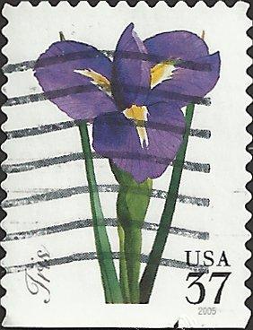 # 3903 USED IRIS