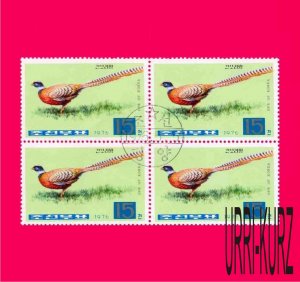 KOREA DPR 1976 Fauna Bird Pheasant block of 4v Mi1503 CTO OG