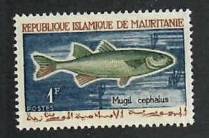 Mauritania; Scott 177;  1964;  Unused; NH; Fish