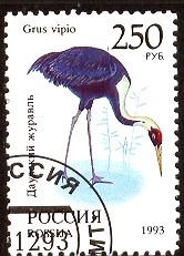 White Naped Crane, Russia stamp SC#6188 used