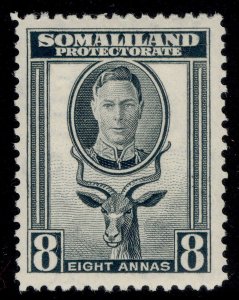 SOMALILAND PROTECTORATE GVI SG111, 8a grey, M MINT.