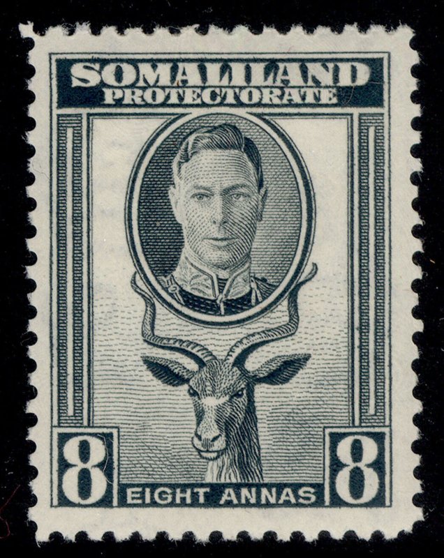 SOMALILAND PROTECTORATE GVI SG111, 8a grey, M MINT.