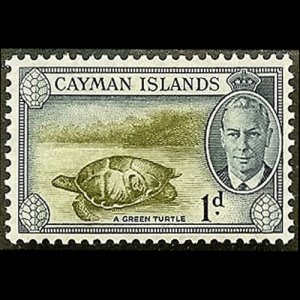 CAYMAN IS. 1950 - Scott# 124 Green Turtle 1p LH